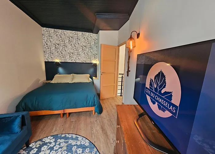 Сasa de vacaciones Du Chasselas Prayssas (Aquitaine)